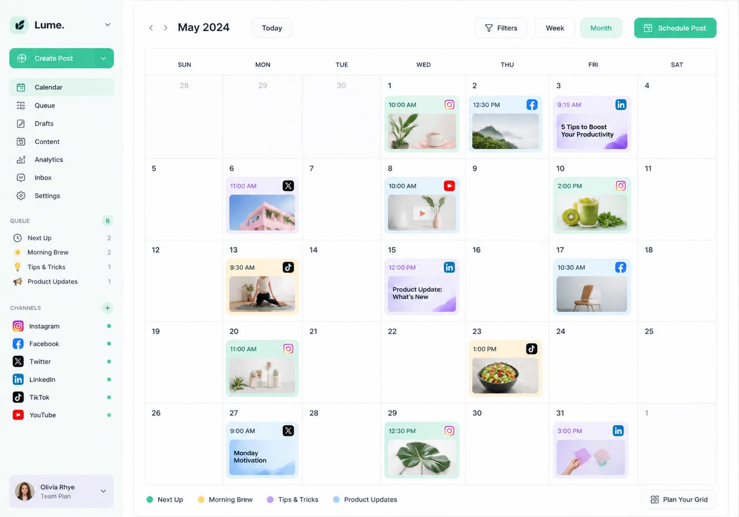 Pixalera publishing calendar showing a month of scheduled posts across Instagram, LinkedIn, TikTok and YouTube
